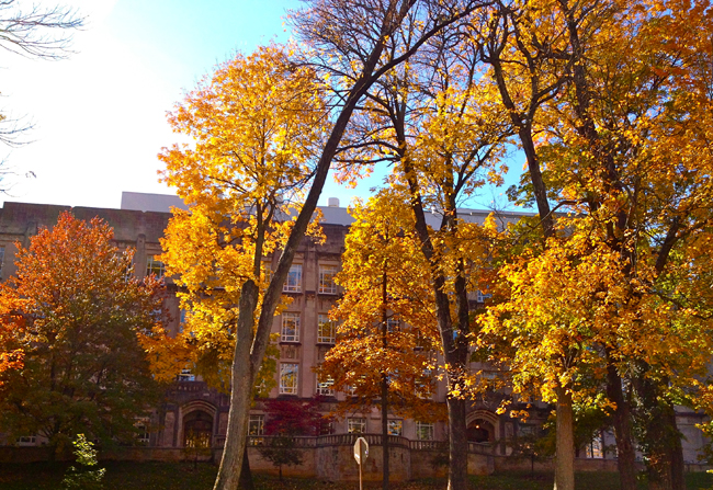 Indiana University in Fall (Photo Gallery)