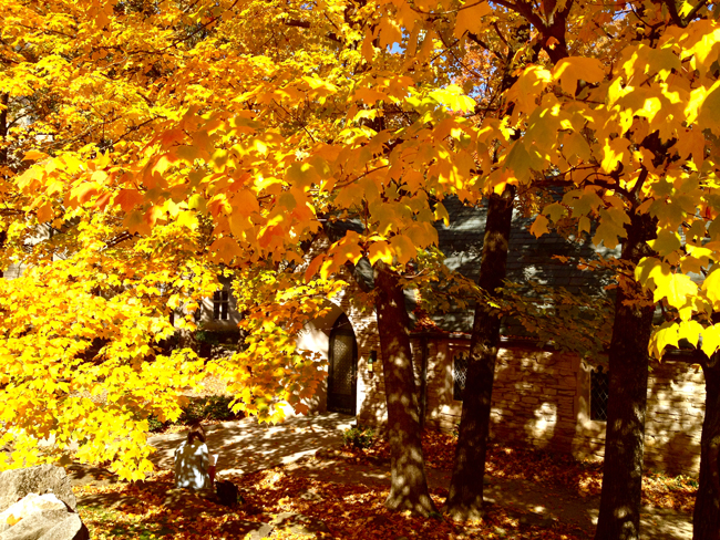 Indiana University in Fall (Photo Gallery)