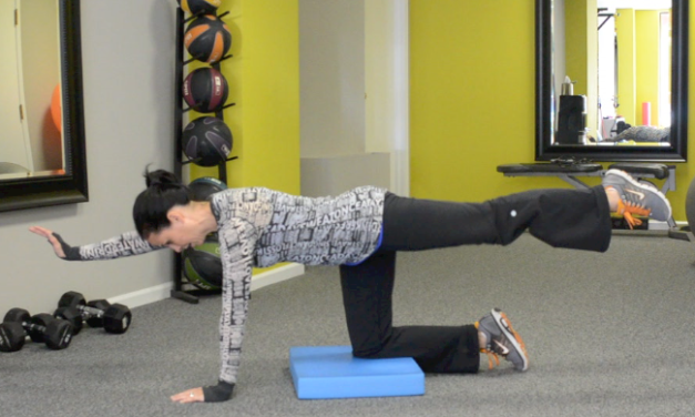 Weekly Exercise: Quadruped