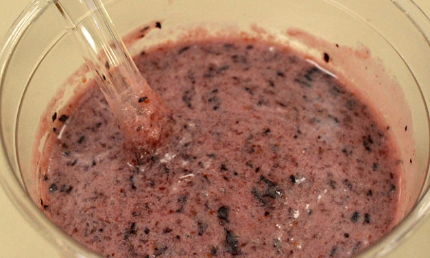 Recipe of the Week: Blueberry Soup