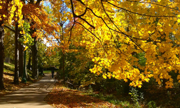 Indiana University in Fall (Photo Gallery)