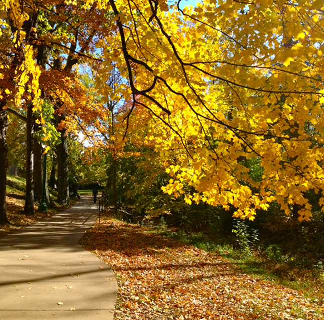 Fall IU
