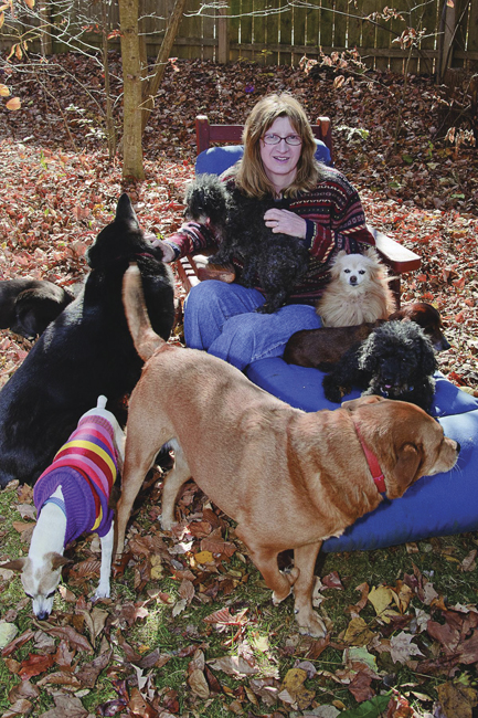 The Nest: A Last Resort for Down-and-Out Dogs