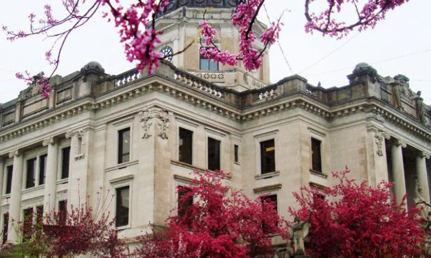 Bloomington in Spring (Photo Gallery)