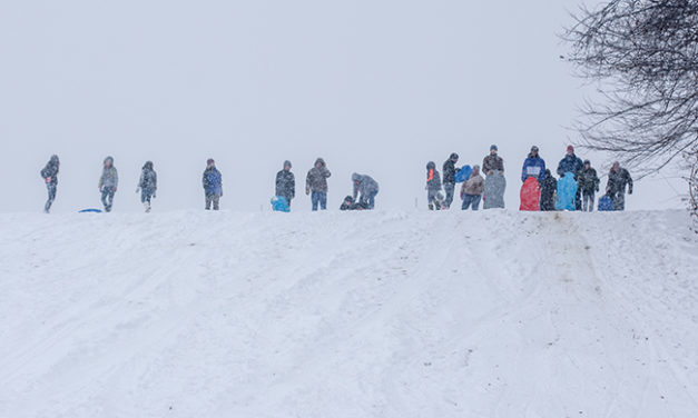 Taking to the Hills on a Snow Day (Photo Gallery)