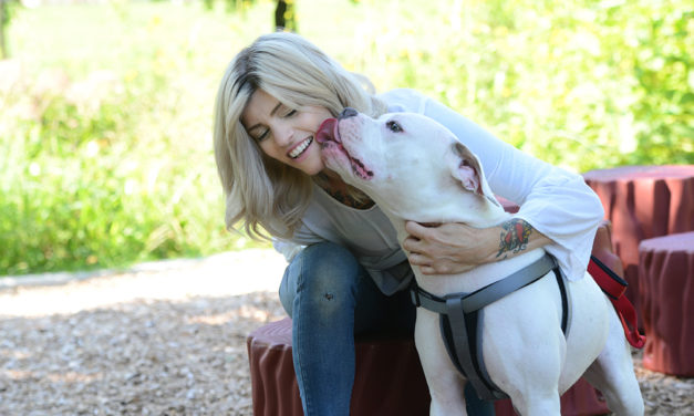 Emily Herr: Canine Therapist