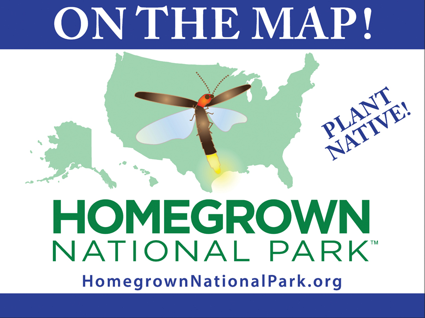 Citizen Scientist: Make Your Backyard a Park To Help Restore Biodiversity